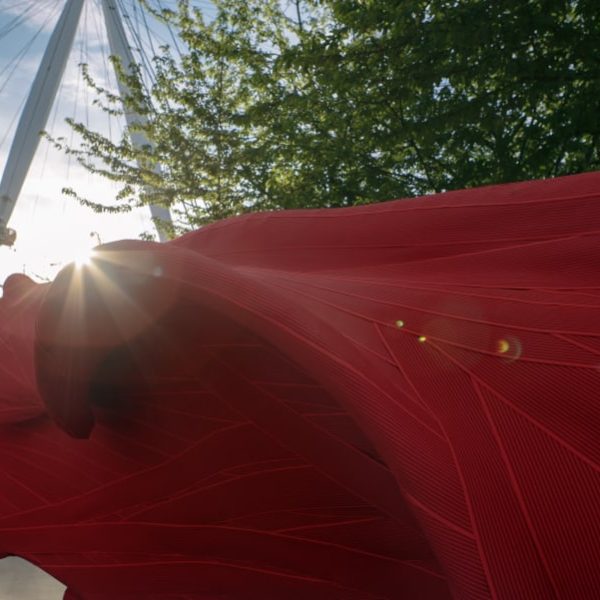 fren9l8iyumn0fg0q7ym