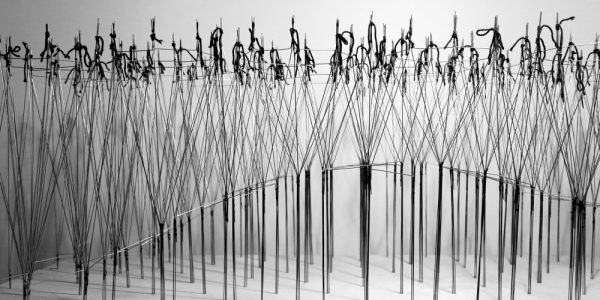 selected---IMG_3869_1000