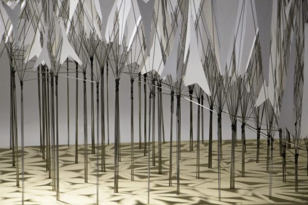 selected---IMG_4973---low_1000