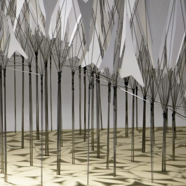 selected---IMG_4973---low_1000