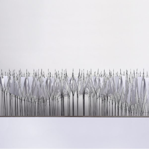 selected---_DSC0095p----low_1000