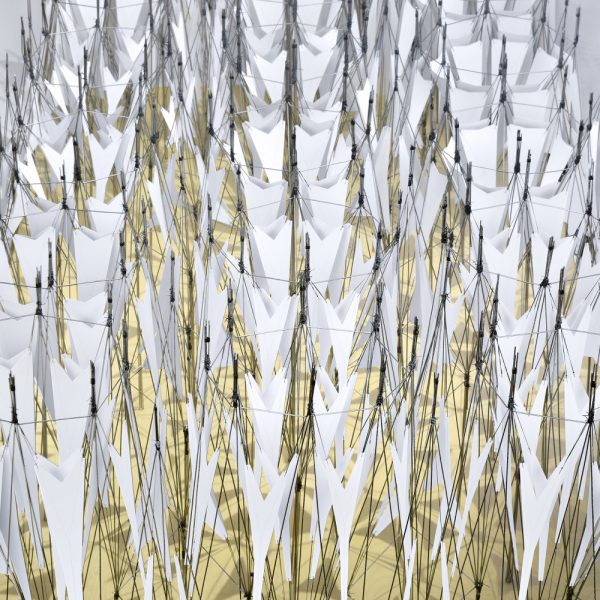 selected---_DSC0122p---low_1000