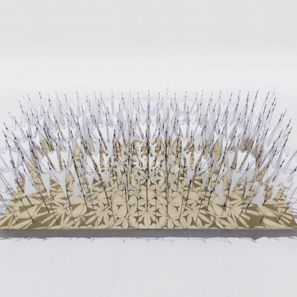 selected---_DSC0123p---low_1000