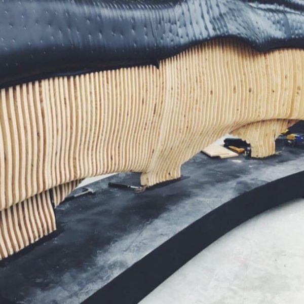 xdmywugzwdnql1zg3qzc